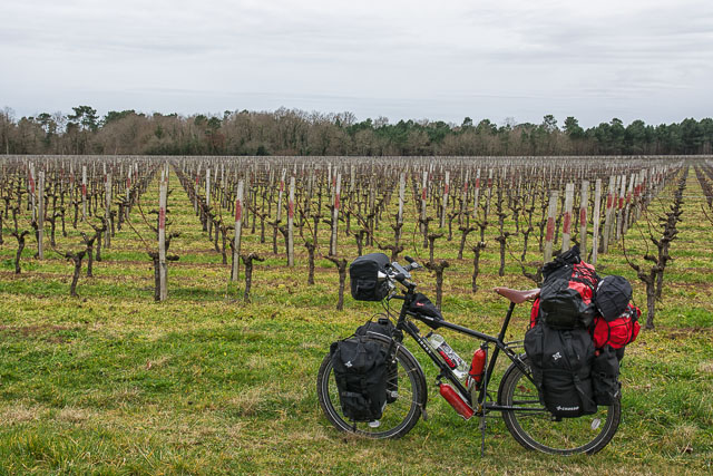 Cycling between the grape trees