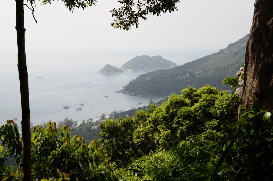 Snorkelēšanas paradīze ir Ko Tao sala Taizemē